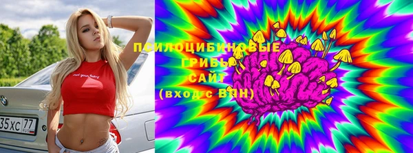 a pvp Арсеньев