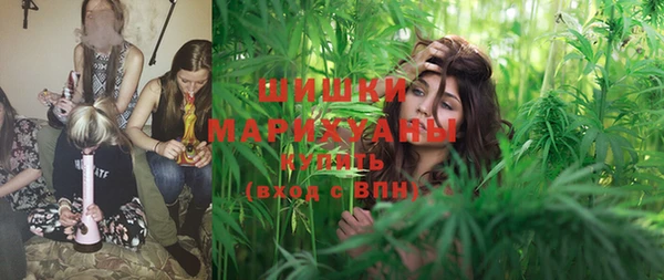 PSILOCYBIN Аркадак