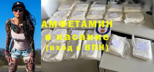 PSILOCYBIN Аркадак