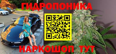 соль ск Кулебаки