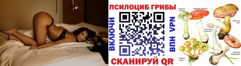 kraken зеркало  где купить наркоту  Кировск  мориарти как зайти  Галлюциногенные грибы Cubensis 