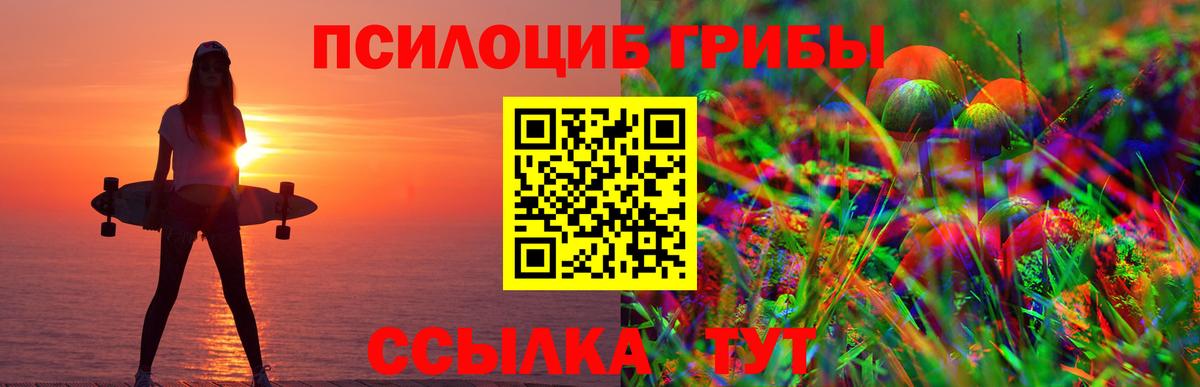 Кировск  Псилоцибиновые грибы прущие грибы  Вход с VPN  Галлюциногенные грибы GOLDEN TEACHER 